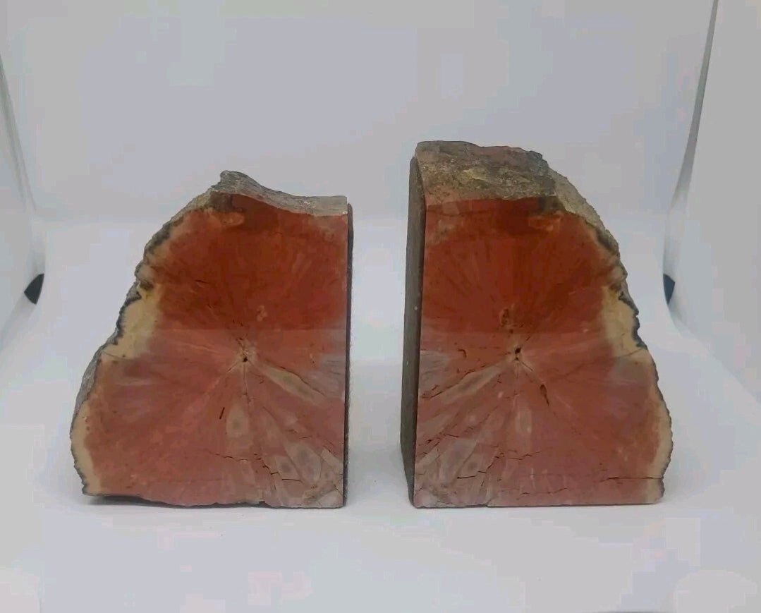 Large 5" Vibrant Red Petrified Wood Bookends | Natural Polished Fossil Wood | One-of-a-Kind Home Decor - Workshop & Study