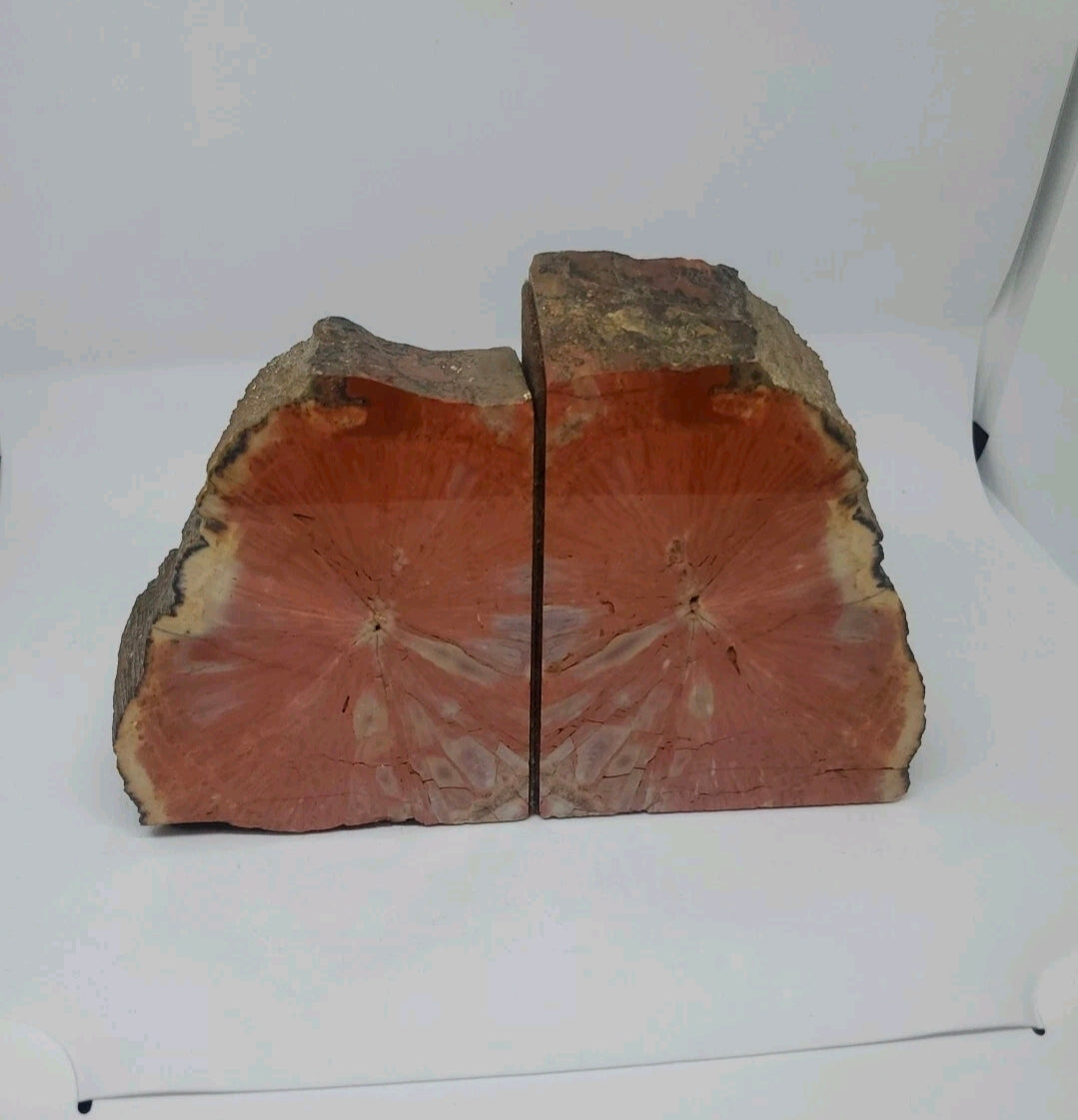 Large 5" Vibrant Red Petrified Wood Bookends | Natural Polished Fossil Wood | One-of-a-Kind Home Decor