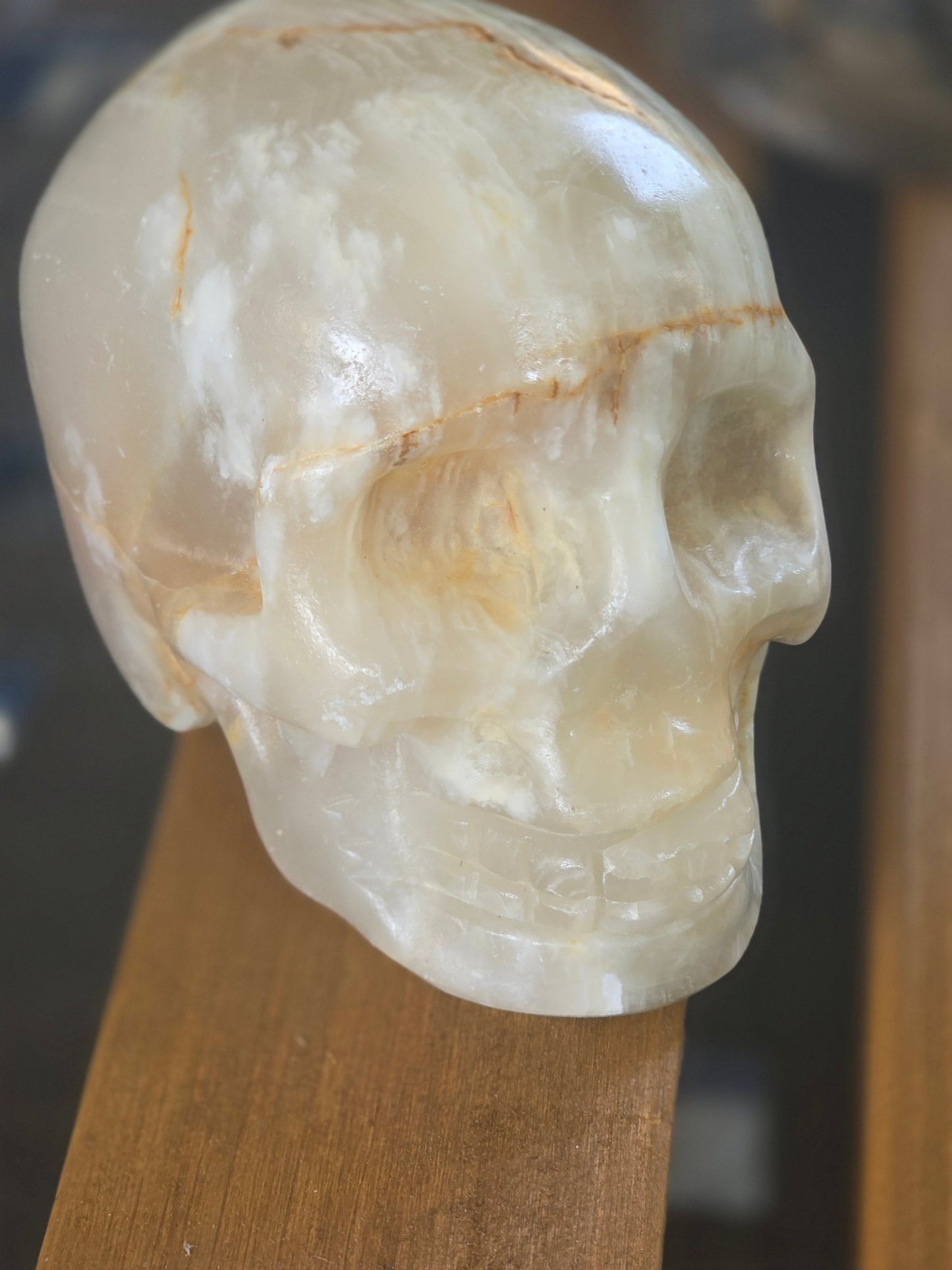 Hand Carved Crystal Skull | Choose Your Exact Skull | Natural Gemstone | 3" Approx | You Pick the Exact Piece - Workshop & Study