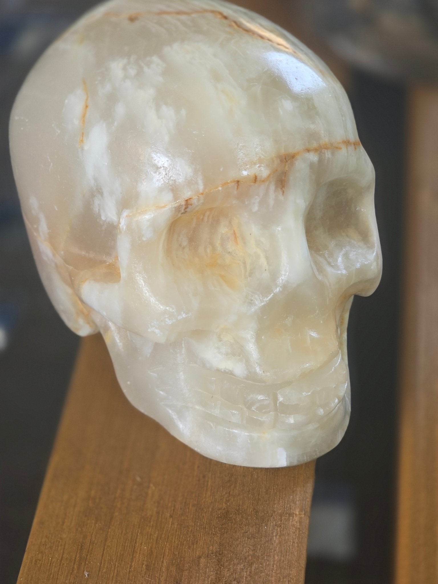 Hand Carved Crystal Skull | Choose Your Exact Skull | Natural Gemstone | 3" Approx | You Pick the Exact Piece - Workshop & Study