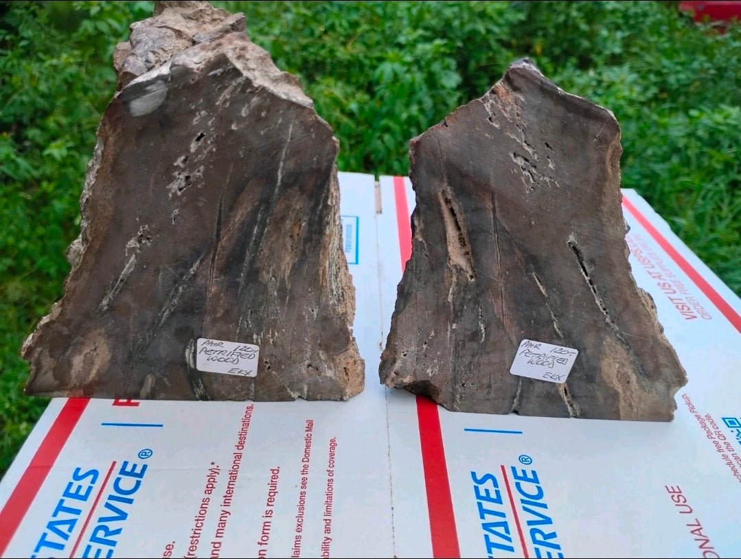 Antique Petrified Wood Bookends Set – Natural Stone Fossil Pair 5 lb 6 oz Rustic Decor - Workshop & Study