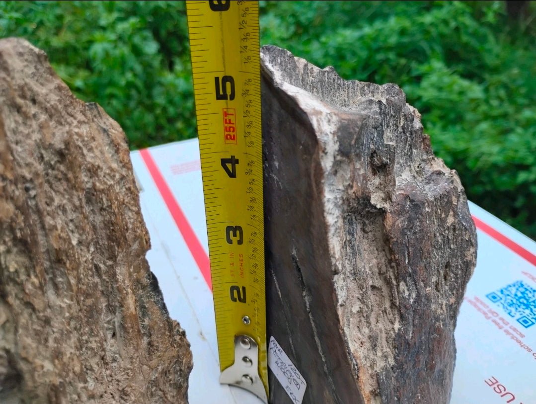 Antique Petrified Wood Bookends Set – Natural Stone Fossil Pair 5 lb 6 oz Rustic Decor - Workshop & Study