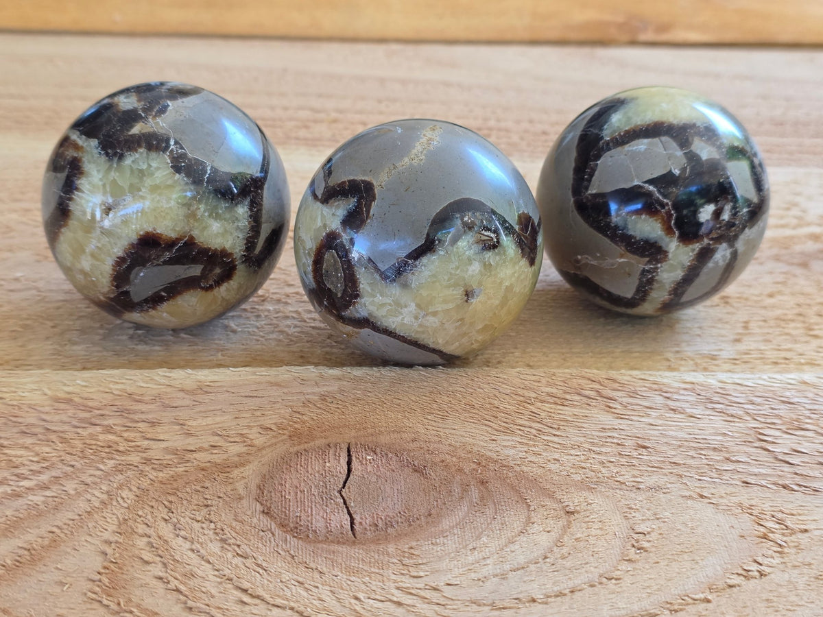 Septarian Sphere | Dragon Stone Crystal Ball | Random Pull | 2.5–3.25 Inch - Workshop & Study