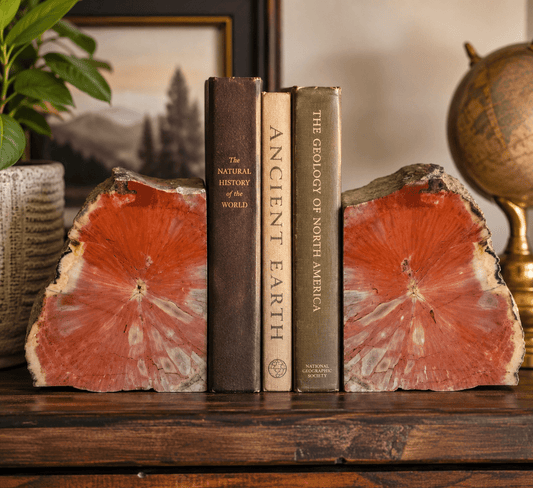 Large 5" Vibrant Red Petrified Wood Bookends | Natural Polished Fossil Wood | One-of-a-Kind Home Decor - Workshop & Study