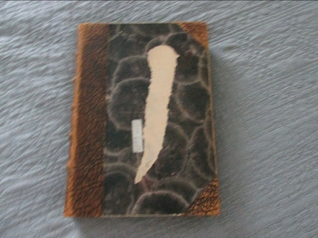 Antique Leo Tolstoy War and Peace Danish Krig og Fred Leather Bound 3 volume c1890