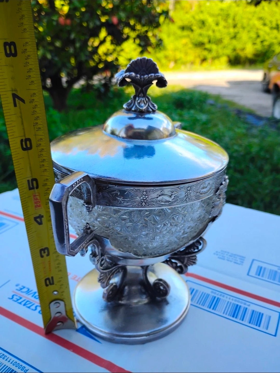 Antique Webster Silverplate Covered Sugar Bowl w/ Cut Crystal Liner – Victorian Pedestal Dish 3 - Workshop & Study