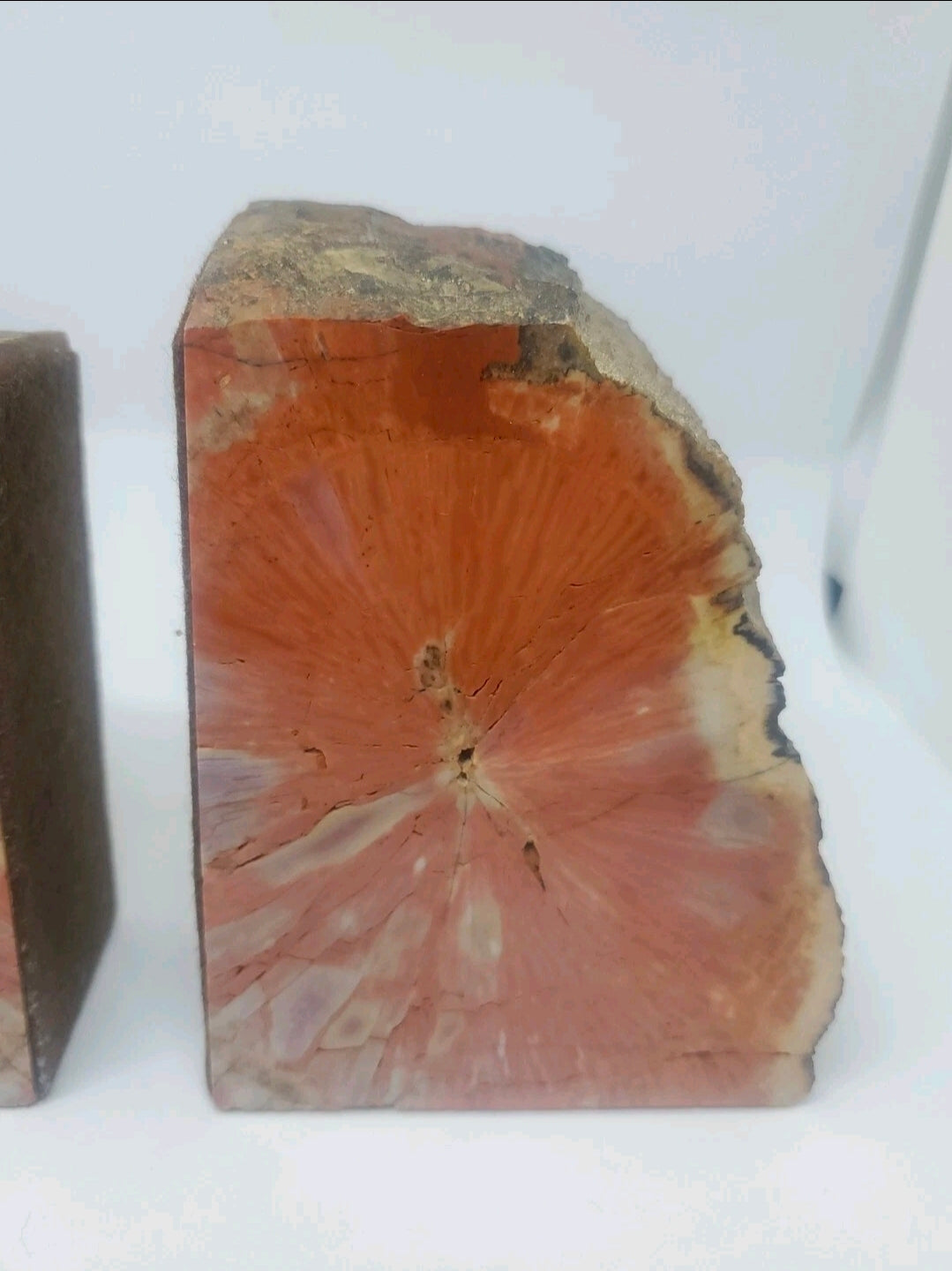 Large 5" Vibrant Red Petrified Wood Bookends | Natural Polished Fossil Wood | One-of-a-Kind Home Decor