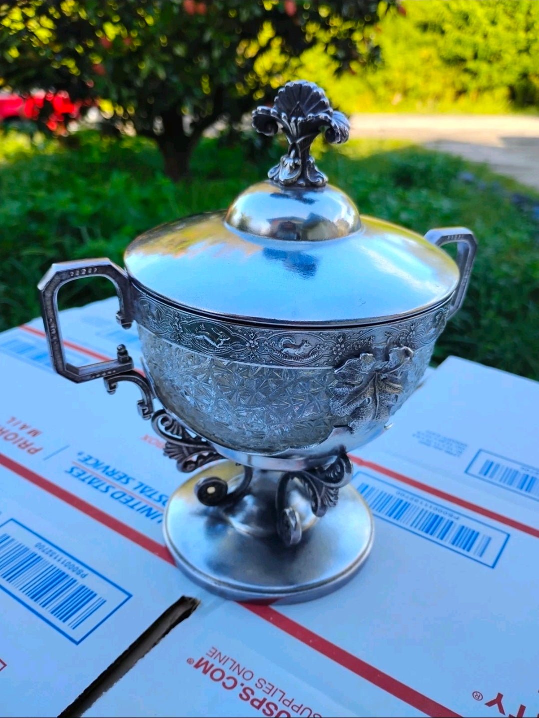 Antique Webster Silverplate Covered Sugar Bowl w/ Cut Crystal Liner – Victorian Pedestal Dish 3 - Workshop & Study