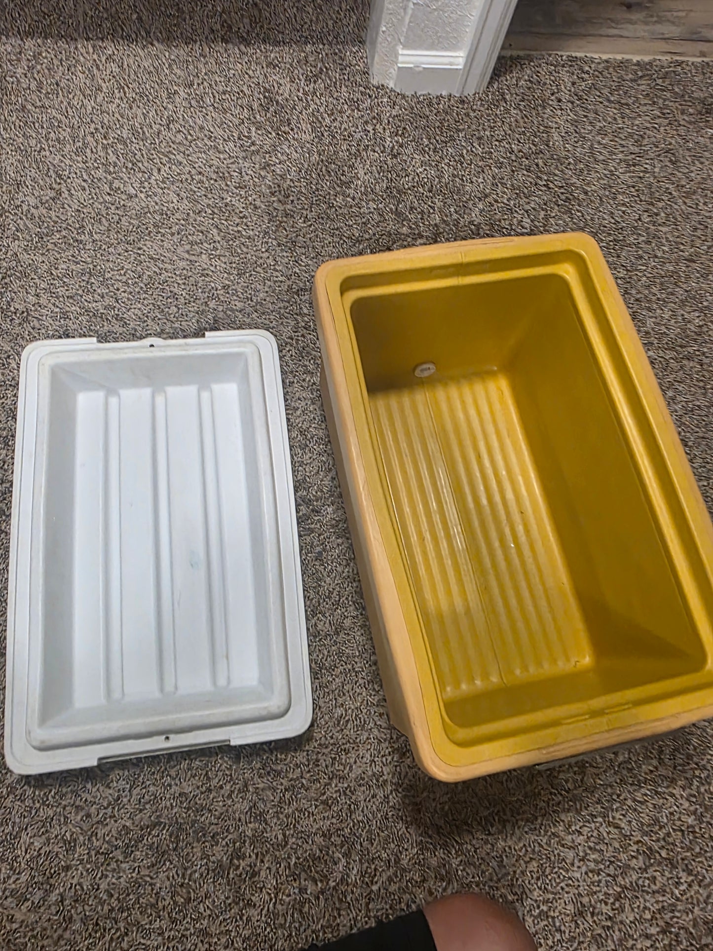 Vintage Coleman Cooler • Mustard Yellow & White Ice Chest • Metal Latch • Retro Camping Cooler