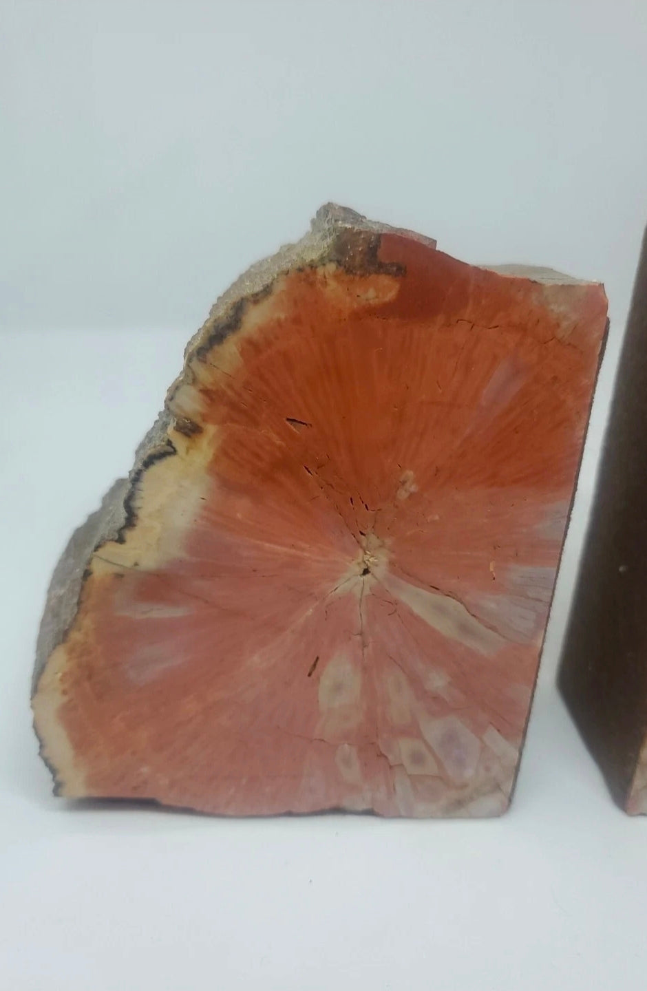Large 5" Vibrant Red Petrified Wood Bookends | Natural Polished Fossil Wood | One-of-a-Kind Home Decor