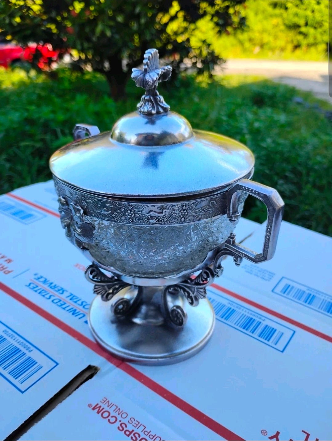 Antique Webster Silverplate Covered Sugar Bowl w/ Cut Crystal Liner – Victorian Pedestal Dish 3 - Workshop & Study