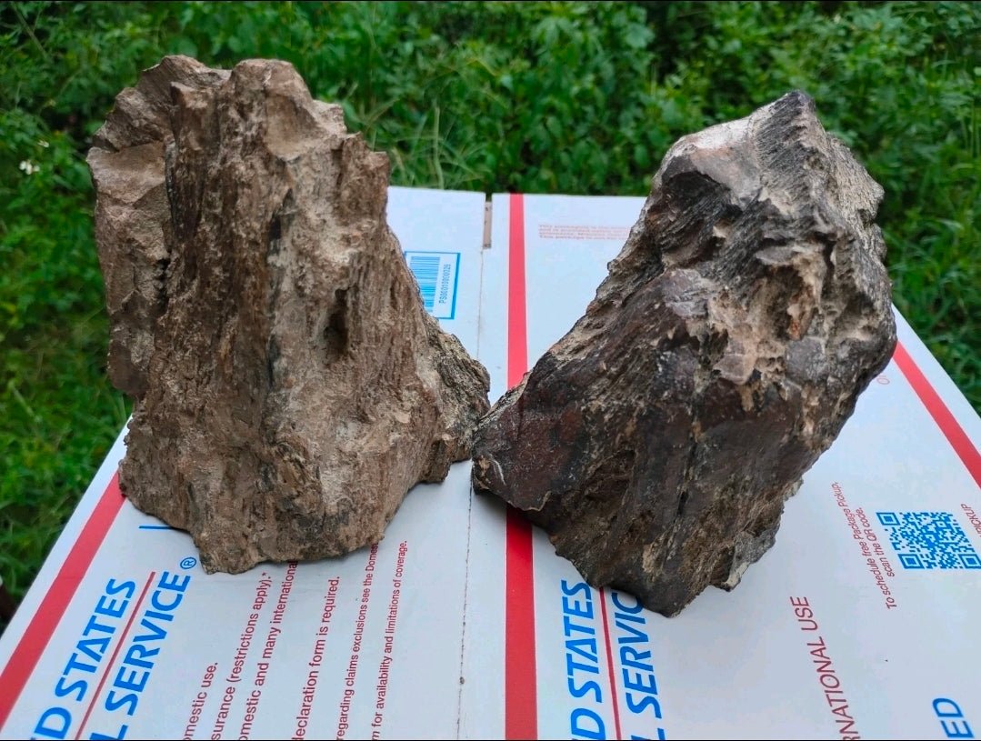 Antique Petrified Wood Bookends Set – Natural Stone Fossil Pair 5 lb 6 oz Rustic Decor - Workshop & Study