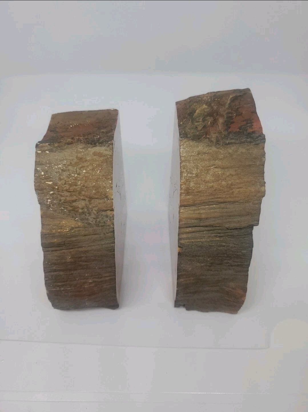 Large 5" Vibrant Red Petrified Wood Bookends | Natural Polished Fossil Wood | One-of-a-Kind Home Decor