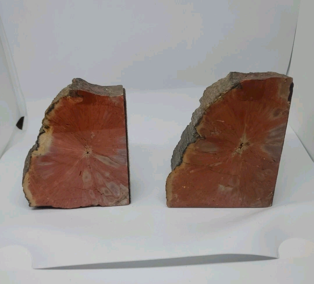 Large 5" Vibrant Red Petrified Wood Bookends | Natural Polished Fossil Wood | One-of-a-Kind Home Decor