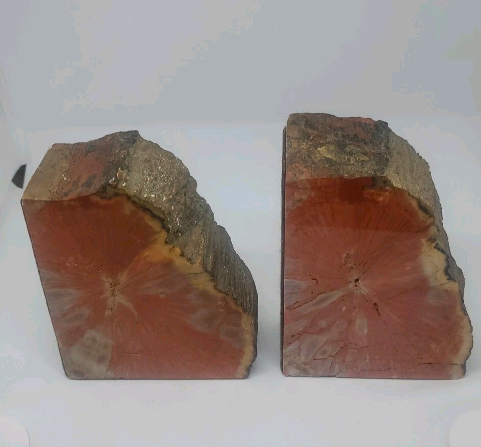 Large 5" Vibrant Red Petrified Wood Bookends | Natural Polished Fossil Wood | One-of-a-Kind Home Decor