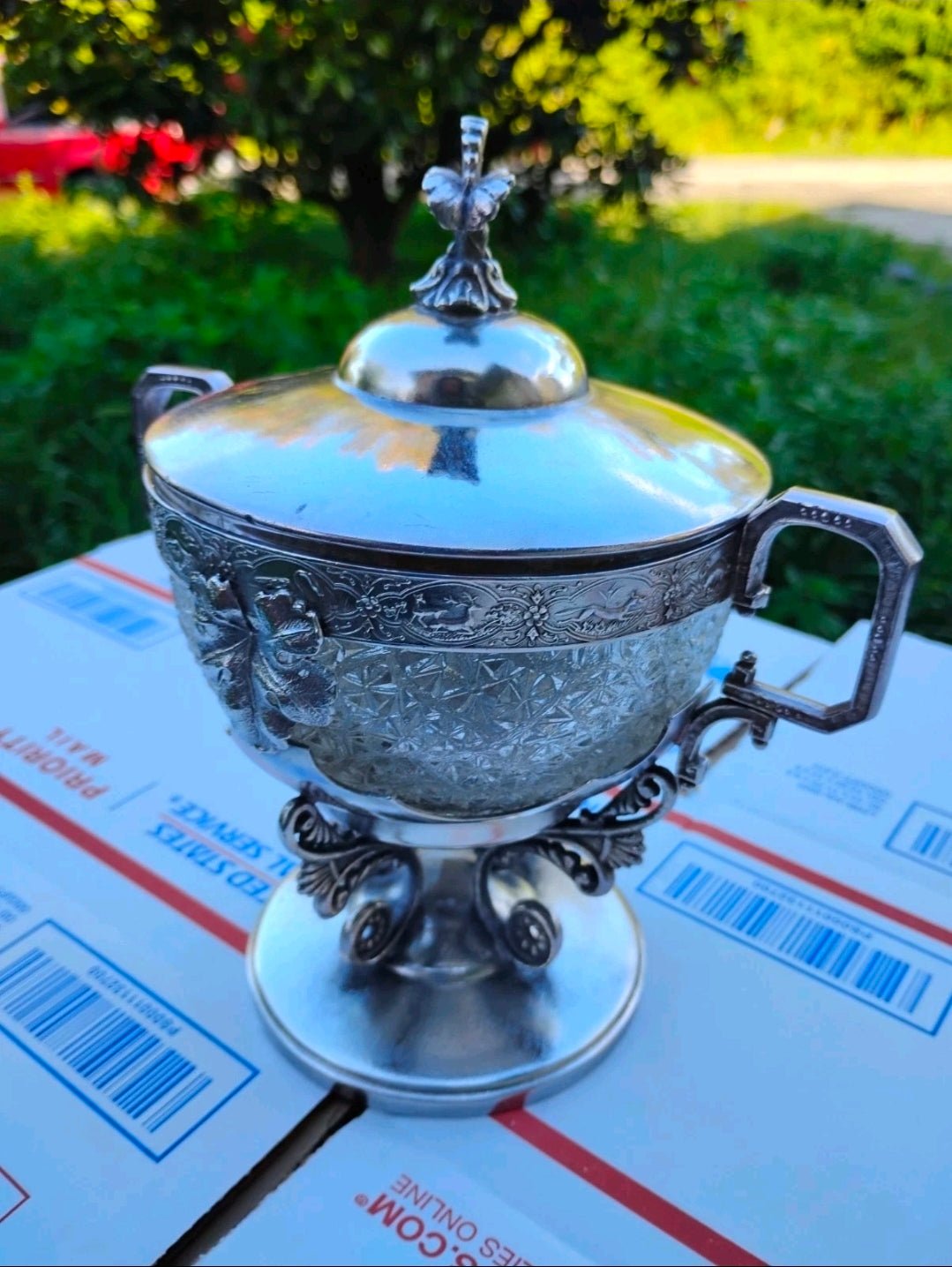 Antique Webster Silverplate Covered Sugar Bowl w/ Cut Crystal Liner – Victorian Pedestal Dish 3 - Workshop & Study