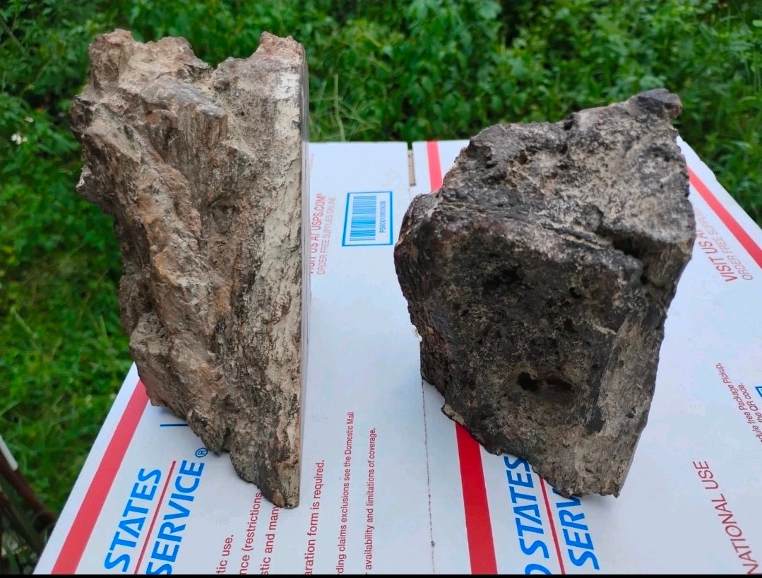 Antique Petrified Wood Bookends Set – Natural Stone Fossil Pair 5 lb 6 oz Rustic Decor - Workshop & Study